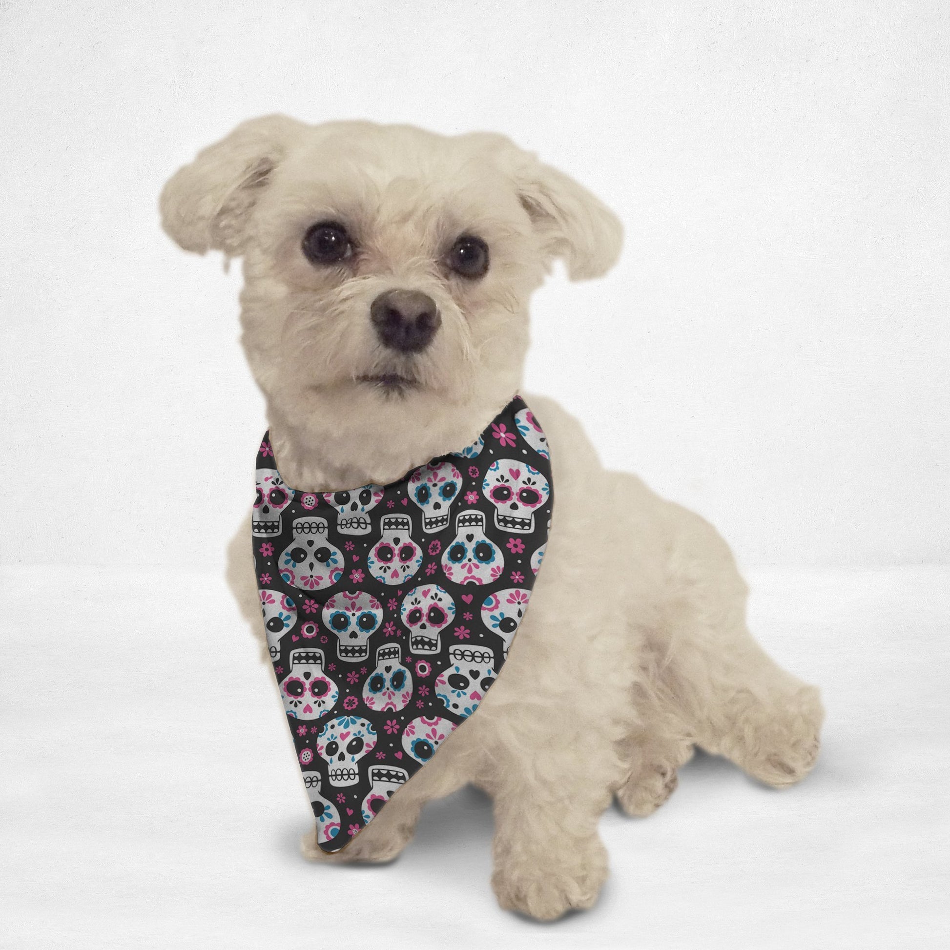 Sugar Skulls Cat & Dog Bandana