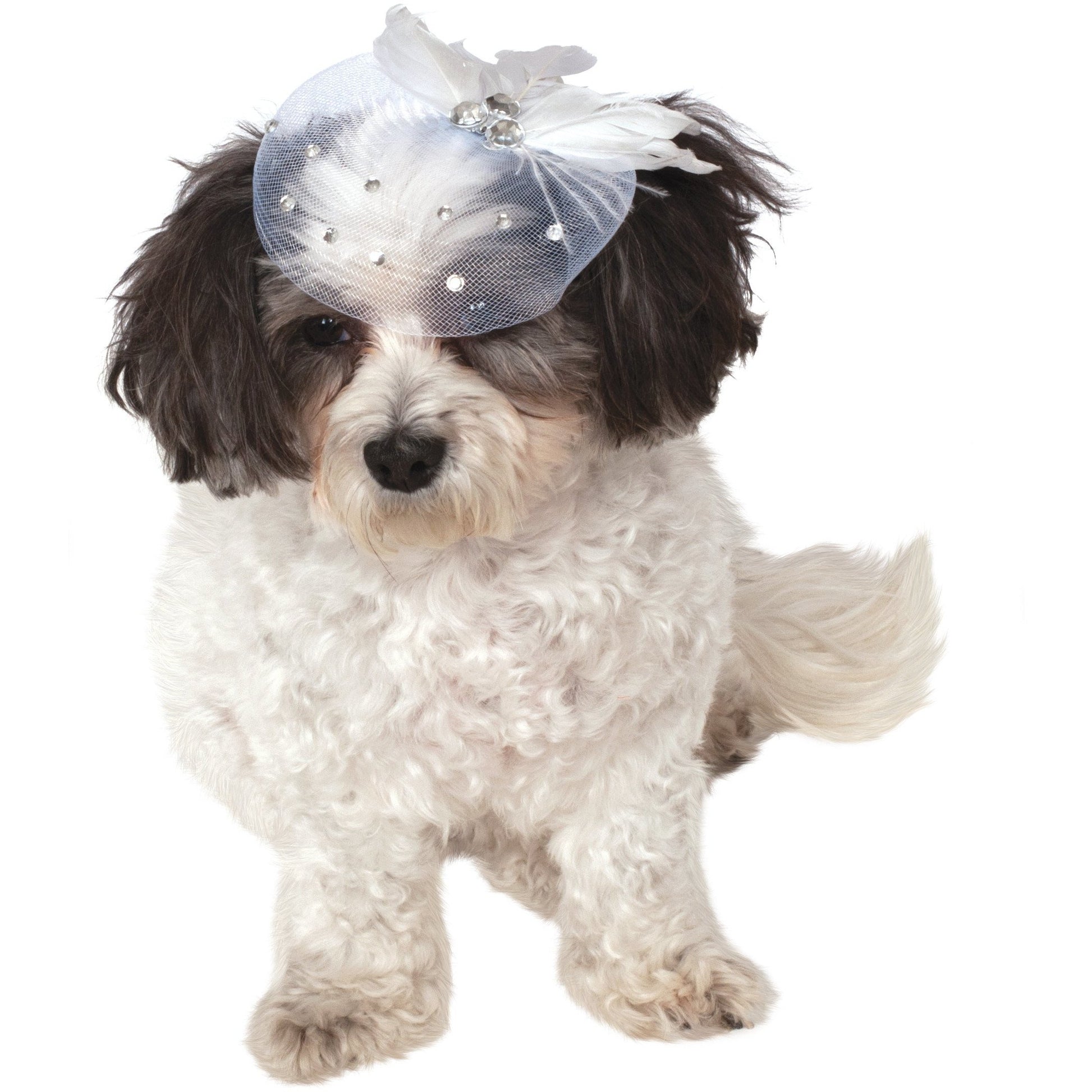 Formal Pet Hat