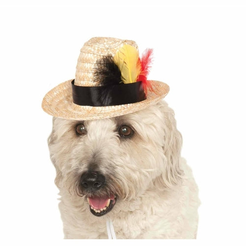 Fedora Pet Hat