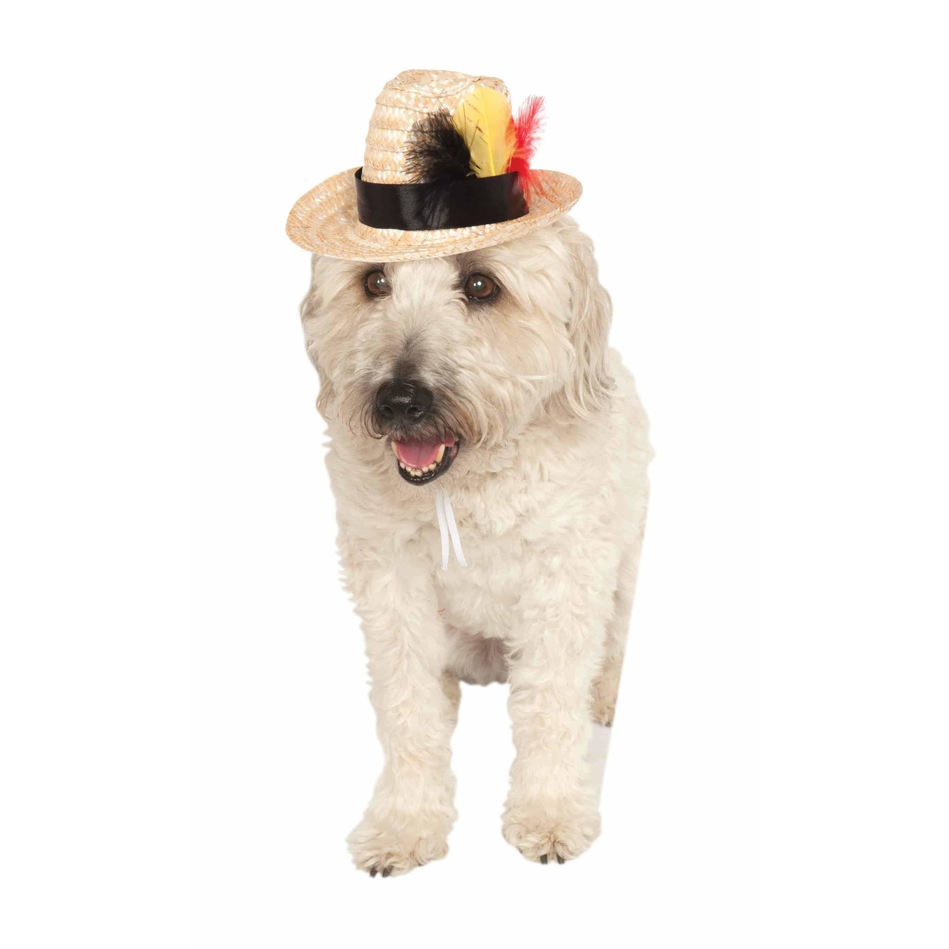 Fedora Pet Hat