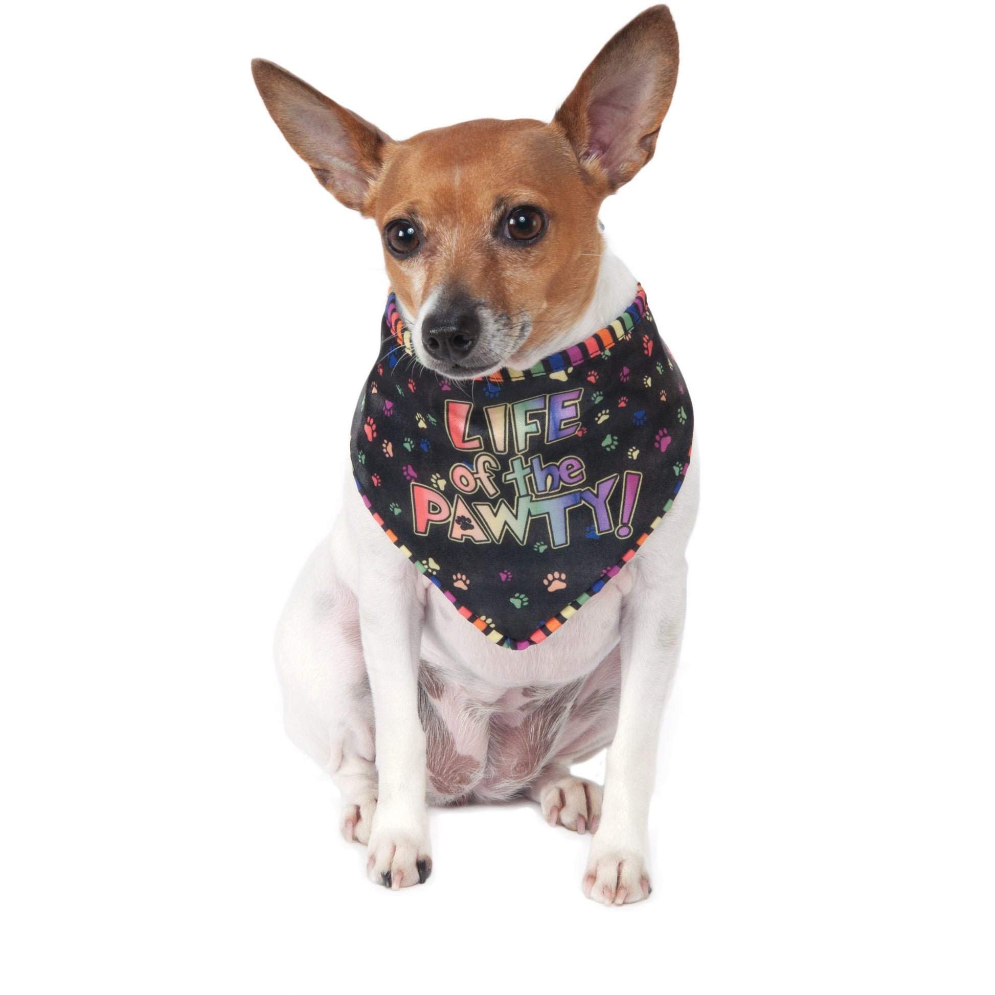 Life of the Pawty Celebration Pet Bandana