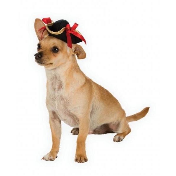 Pirate Girl Pet Hat